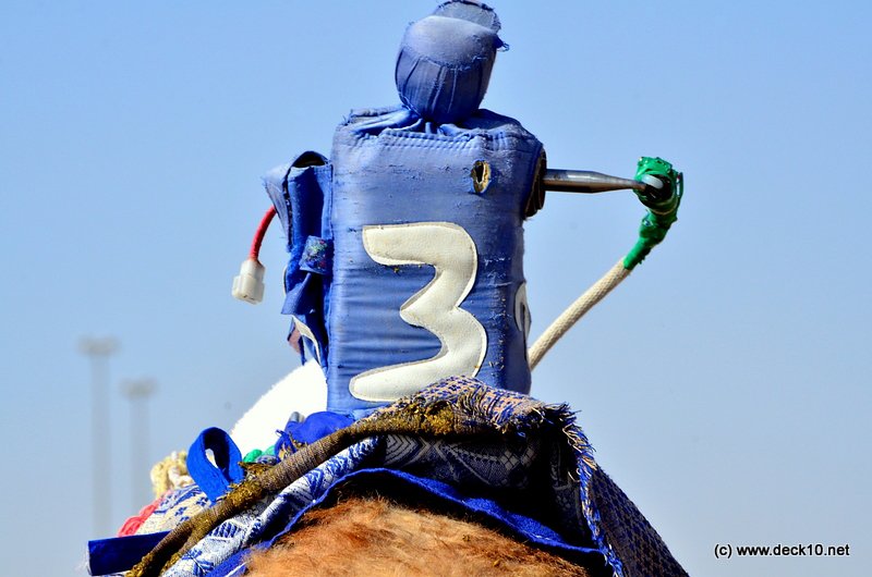 Dubai Camel Racing Club | Дубайский верблюжий ипподром